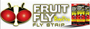 Fruit Fly BarPro Fly Control Strip
